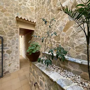 Gallu Pensión Cala Ratjada (Mallorca)